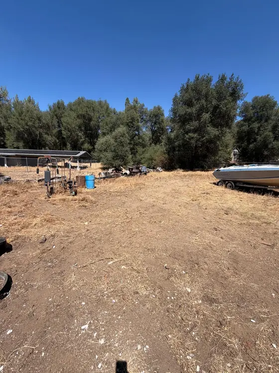 The same yard completely cleared and swept after the cleanout